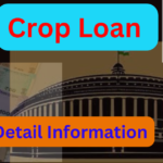 Crop Loan